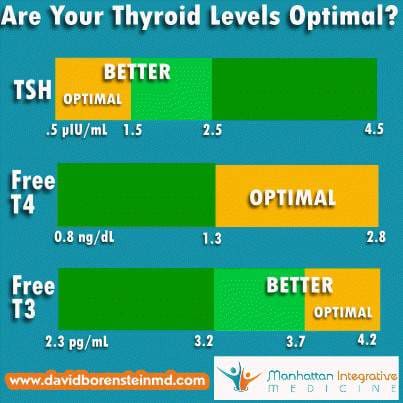 are your thyroid levels optimal